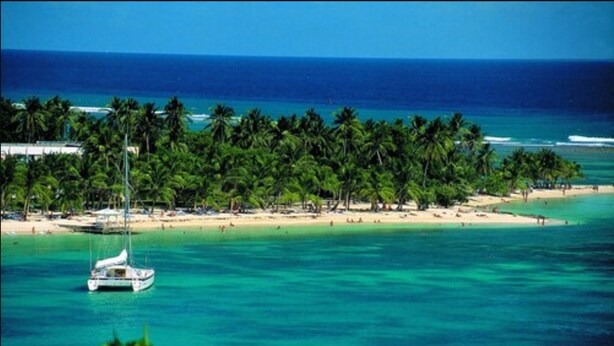 A beach with clear turquoise water, a sailboat, and a row of palm trees. - Résidence Le Vallon Guadeloupe (Saint-François)