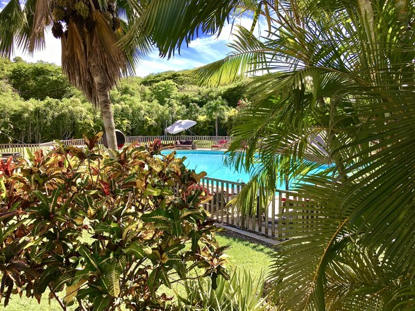 Outdoor pool, pool loungers