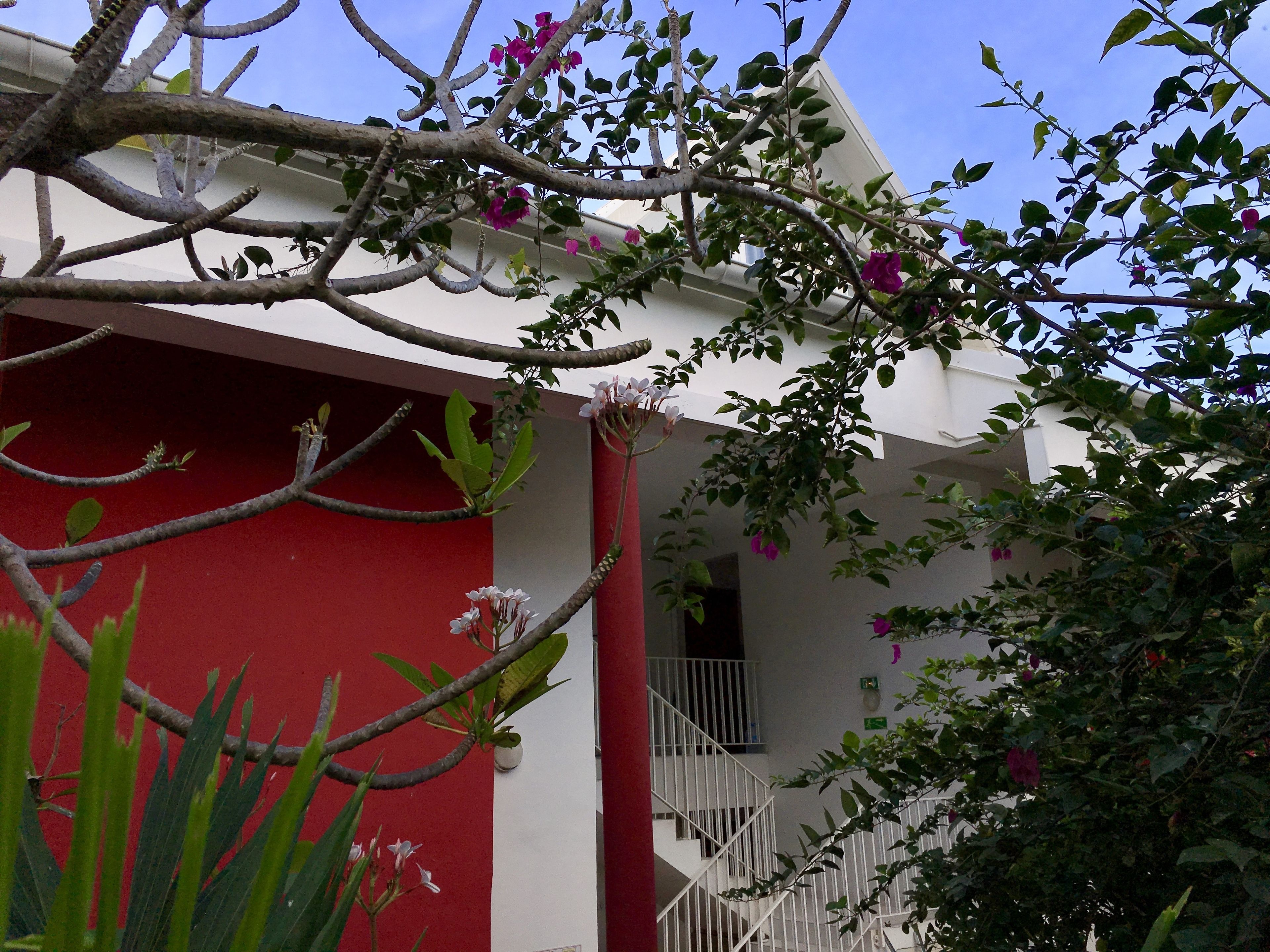 Un bâtiment à la façade rouge, doté de balcons blancs et bordé d’arbres en fleurs.