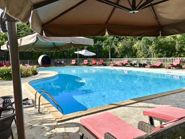 Outdoor pool, pool loungers