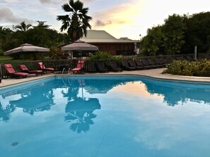 Outdoor pool, pool loungers