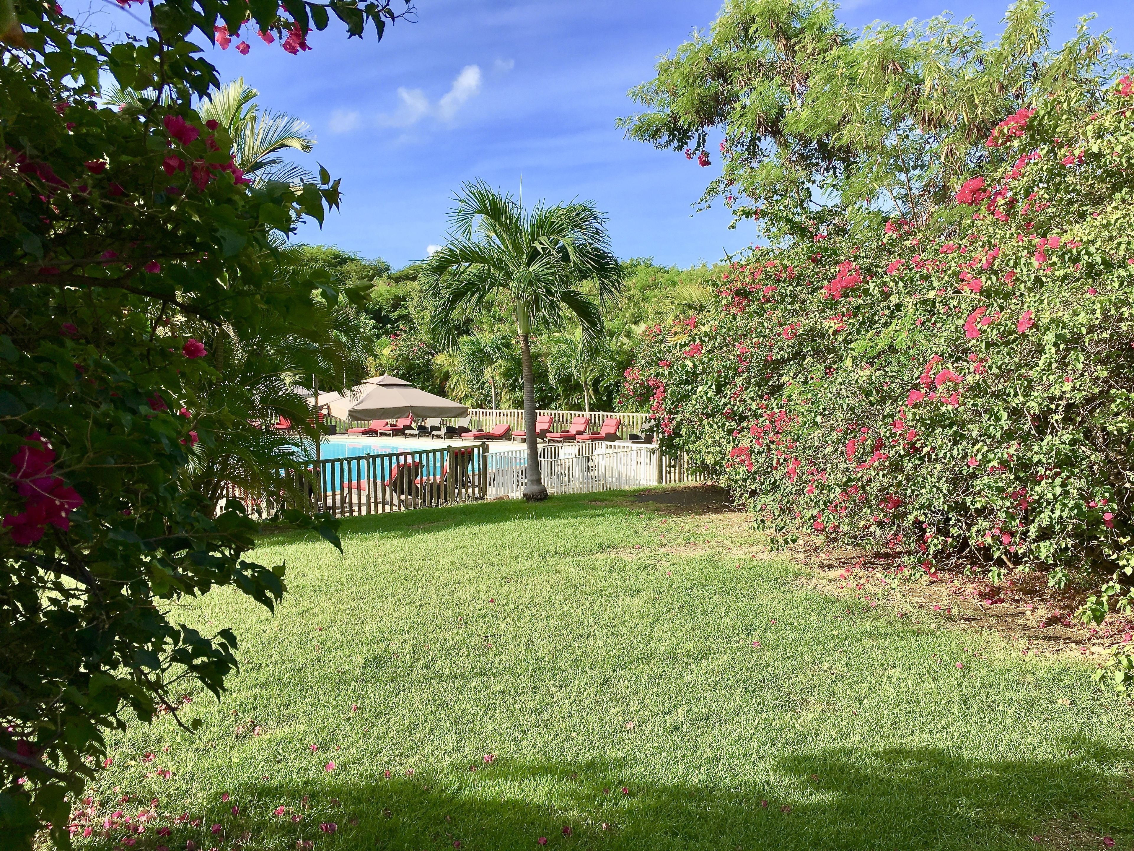 A backyard with a pool, red lounge chairs, and lush greenery.