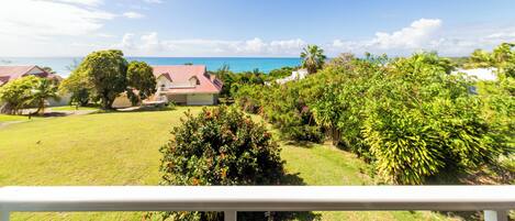 A view of a lush garden with a house and a view of the ocean.