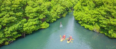 A river surrounded by dense green vegetation.