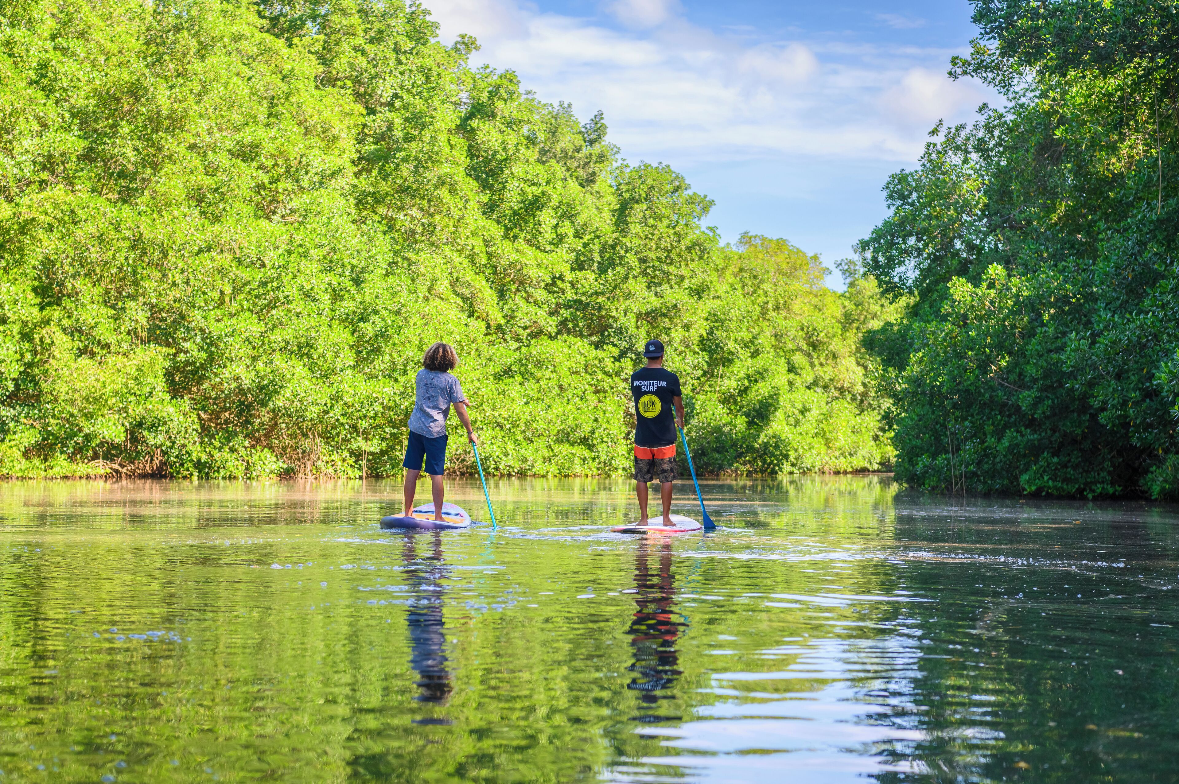 Dos personas haciendo paddleboard en un río tranquilo rodeado de vegetación exuberante.