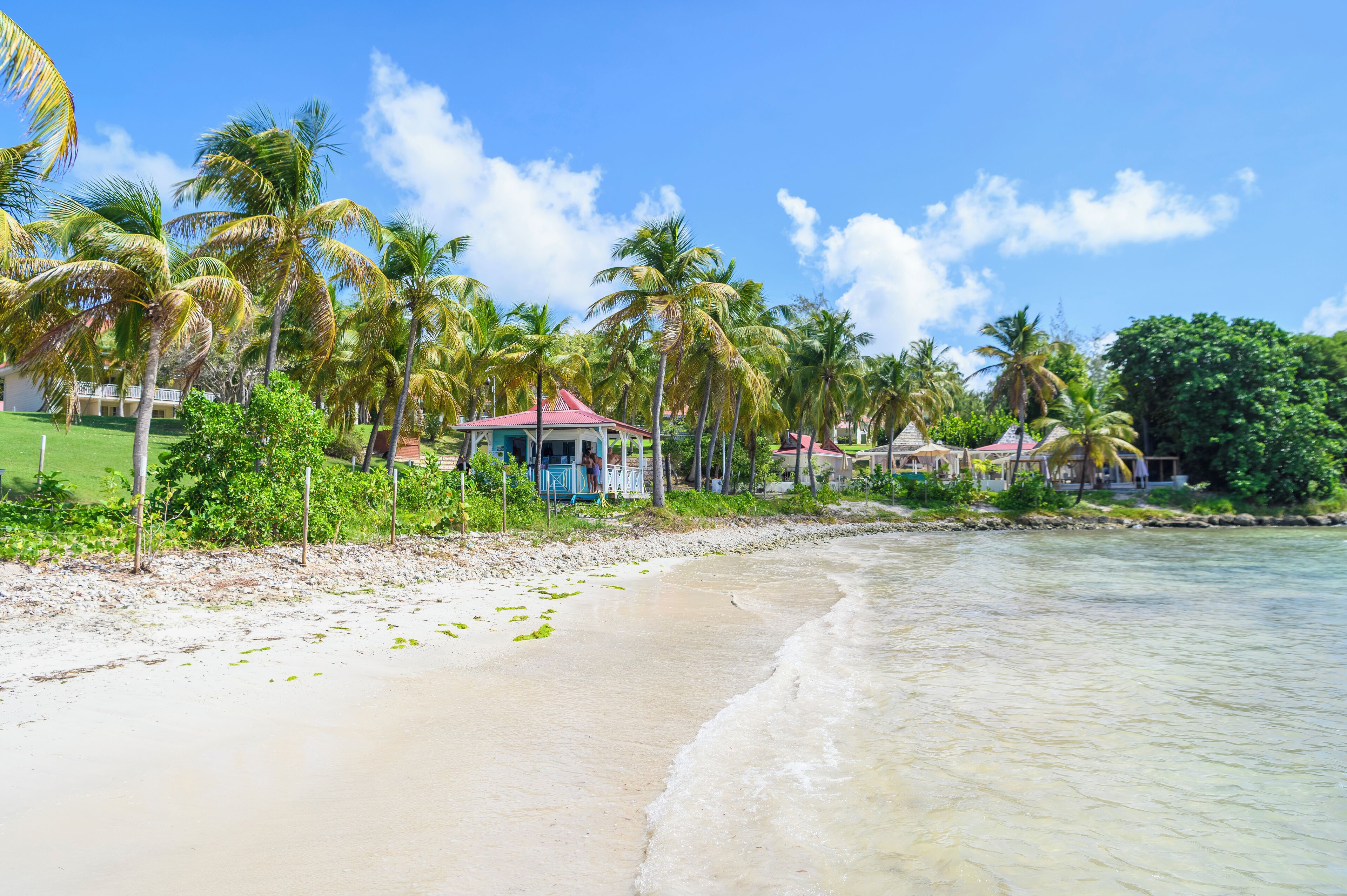 A beach with clear waters, palm trees, and beach huts.