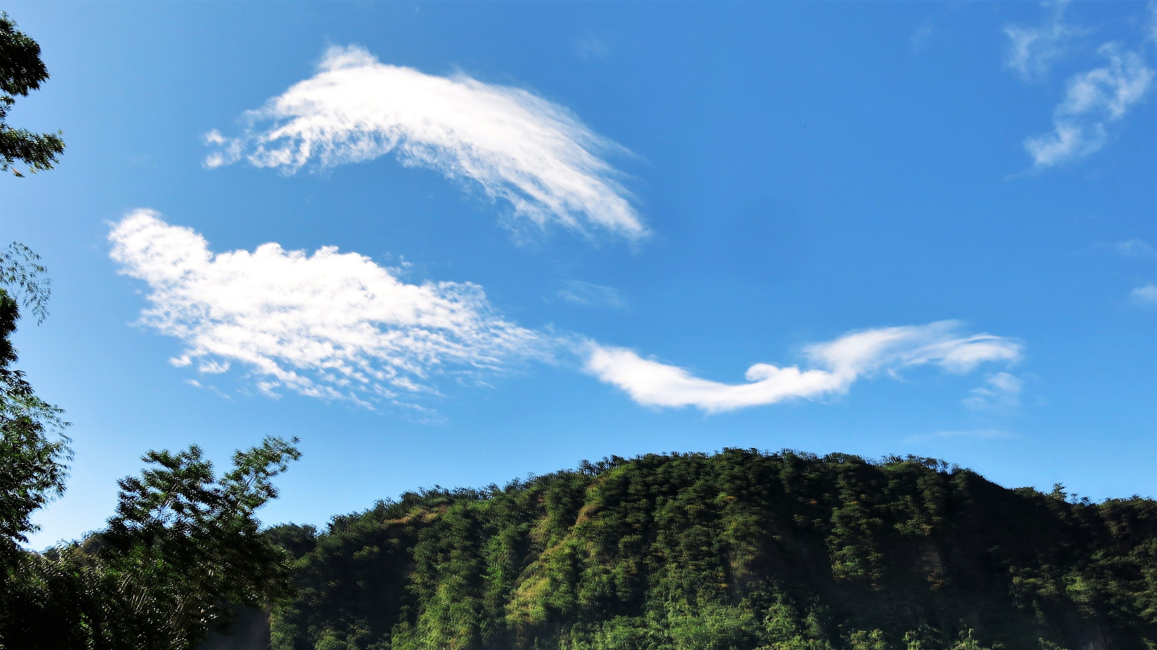 Foto - Chez Ophelia Cottage Apartments