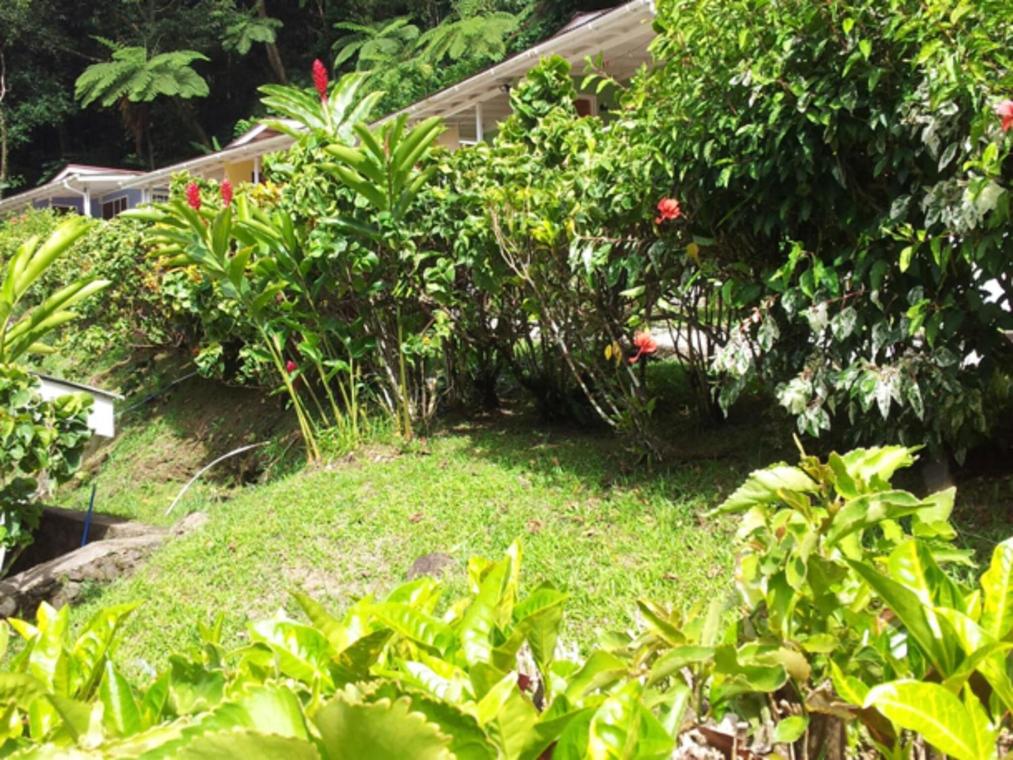 Foto - Chez Ophelia Cottage Apartments