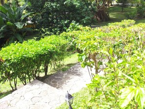 Property grounds - Chez Ophelia Cottage Apartments (Roseau)