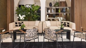 Ein modernes Wohnzimmer mit einer Couch, passenden Sesseln und einem Couchtisch. Zwei große Kübelpflanzen und ein Bücherregal mit Dekorationsobjekten sind ebenfalls vorhanden.