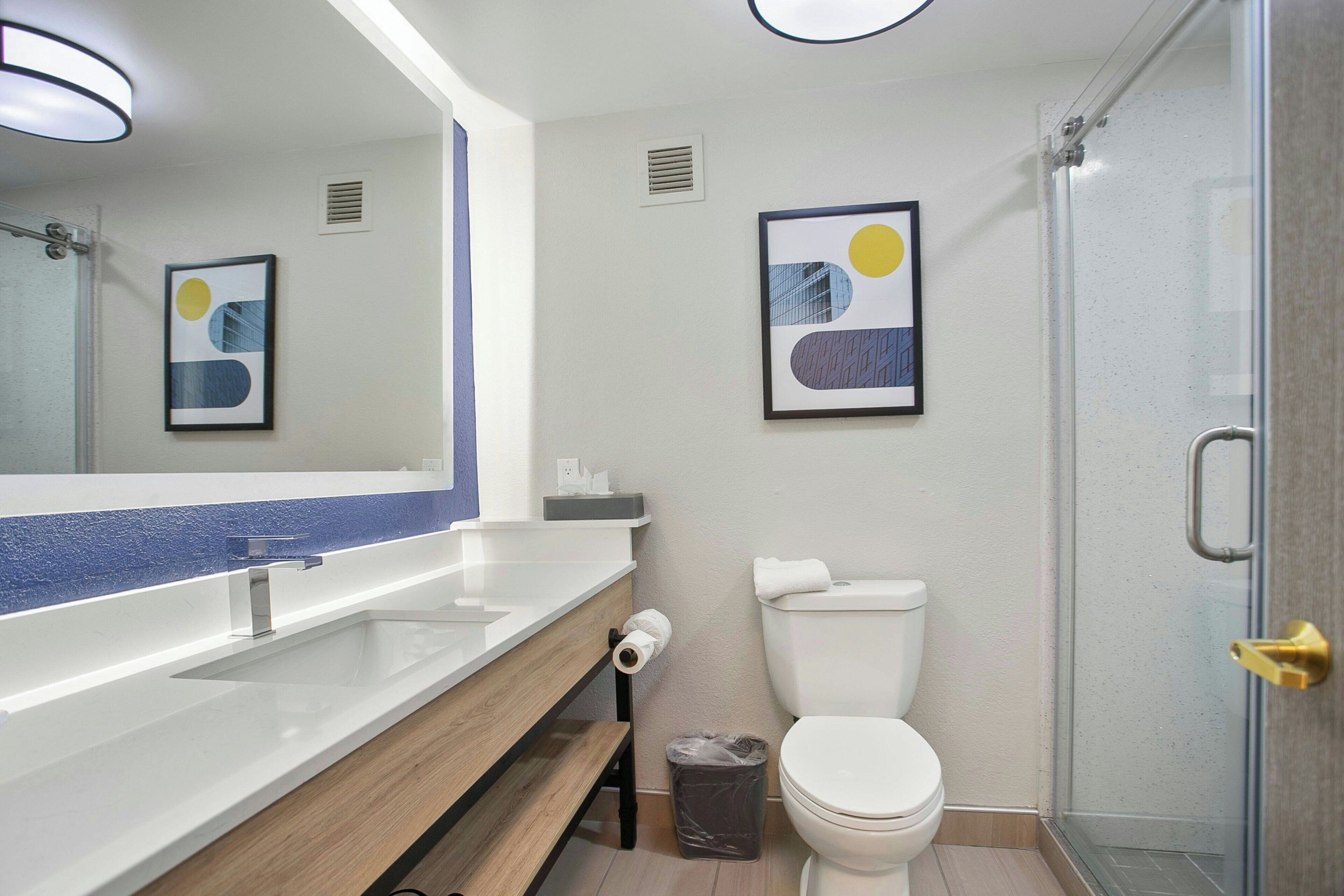 standard room, 1 king bed with sofa bed, non smoking | bathroom | free toiletries, hair dryer, towels