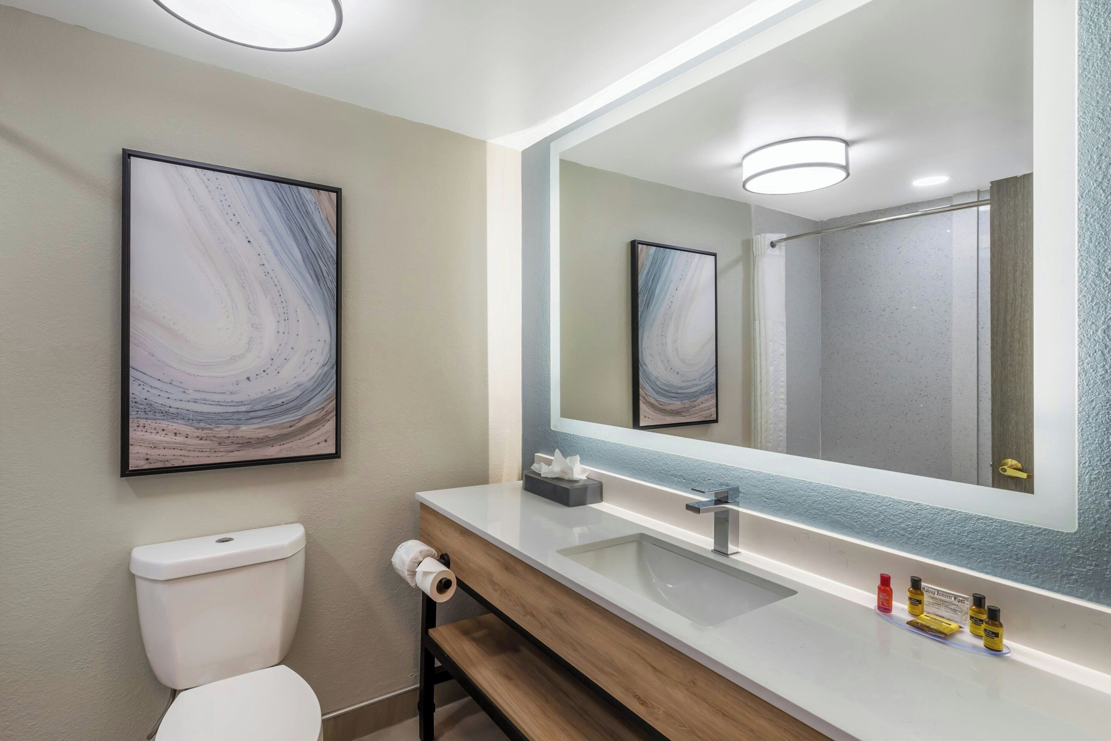 standard room, 1 king bed with sofa bed, non smoking | bathroom | free toiletries, hair dryer, towels