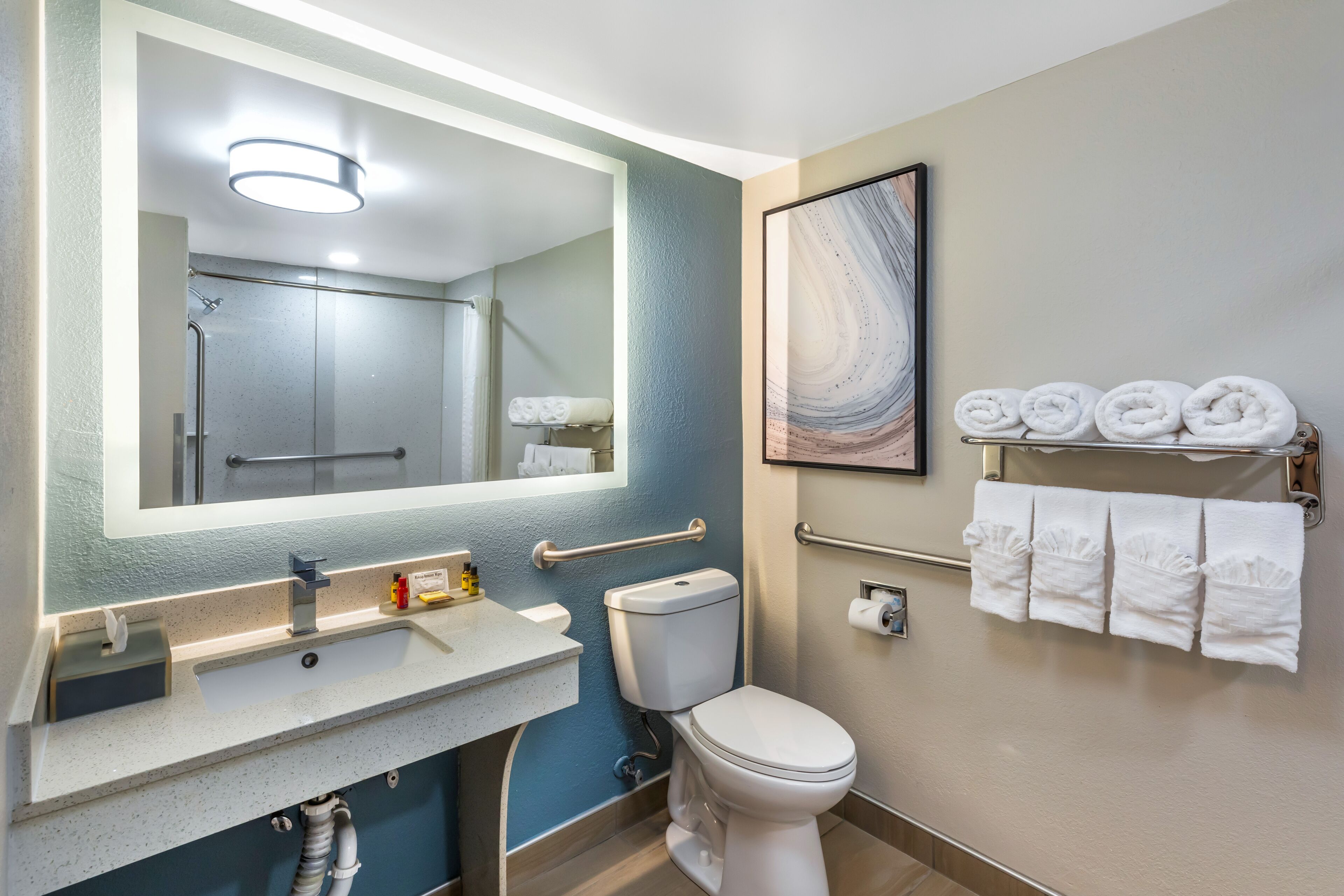 standard room, 1 king bed with sofa bed, non smoking (mobility/hearing access, roll-in shwr) | bathroom | free toiletries, hair dryer, towels