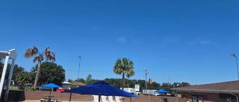 Piscina a l'aire lliure (horari: 09:00-22:00) i gandules