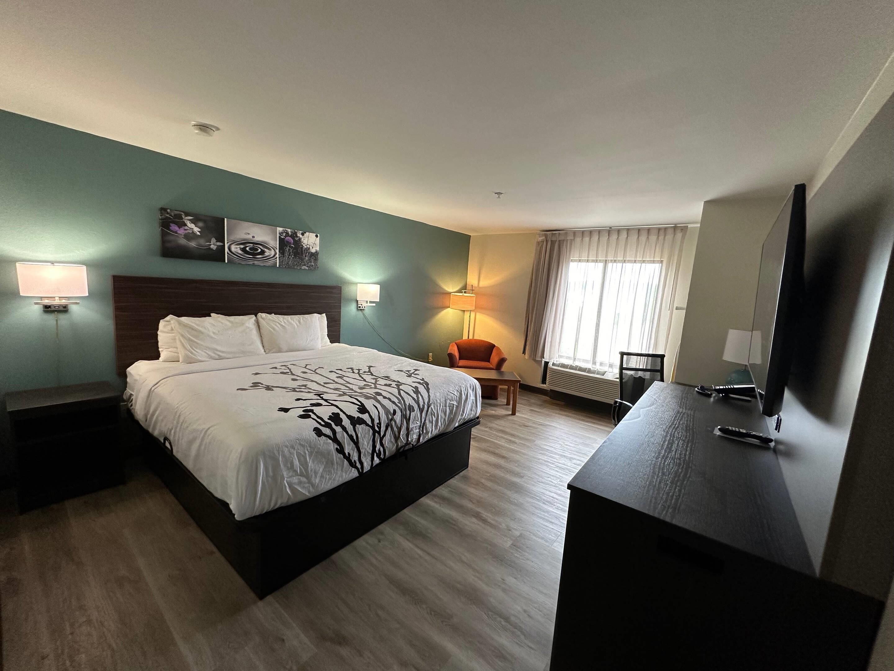 A hotel room with a large bed, bedside tables, a desk, a chair, and a television.