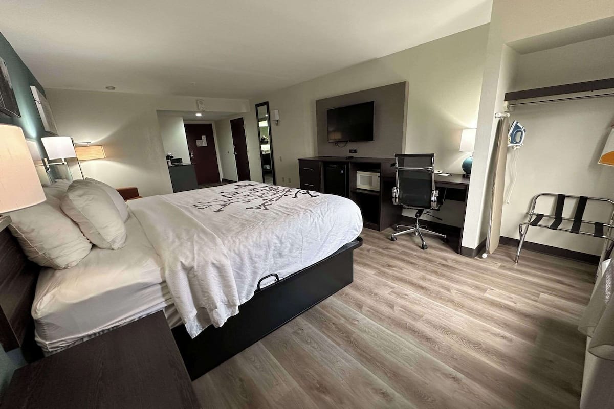 Suite, 1 King Bed with Sofa bed, Non Smoking (Upgrade) | Premium bedding, desk, laptop workspace, blackout drapes