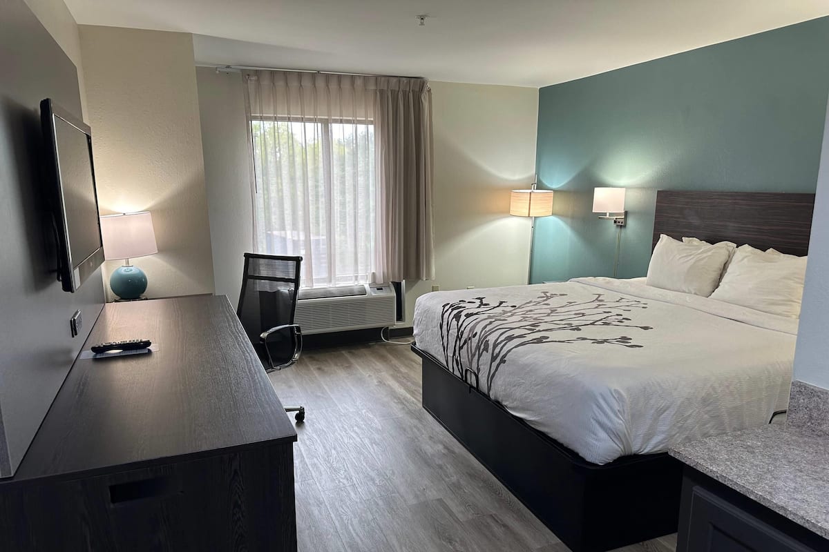 Standard Room, 1 King Bed, Non Smoking | Premium bedding, desk, laptop workspace, blackout drapes