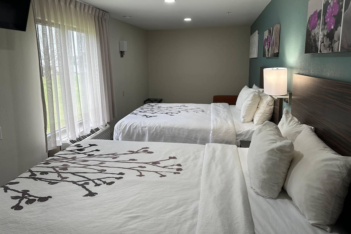 Suite, Berbilang Katil, mesra pendengaran, Non Smoking (Efficiency) | Peralatan tempat tidur premium, meja, ruang kerja komputer riba 