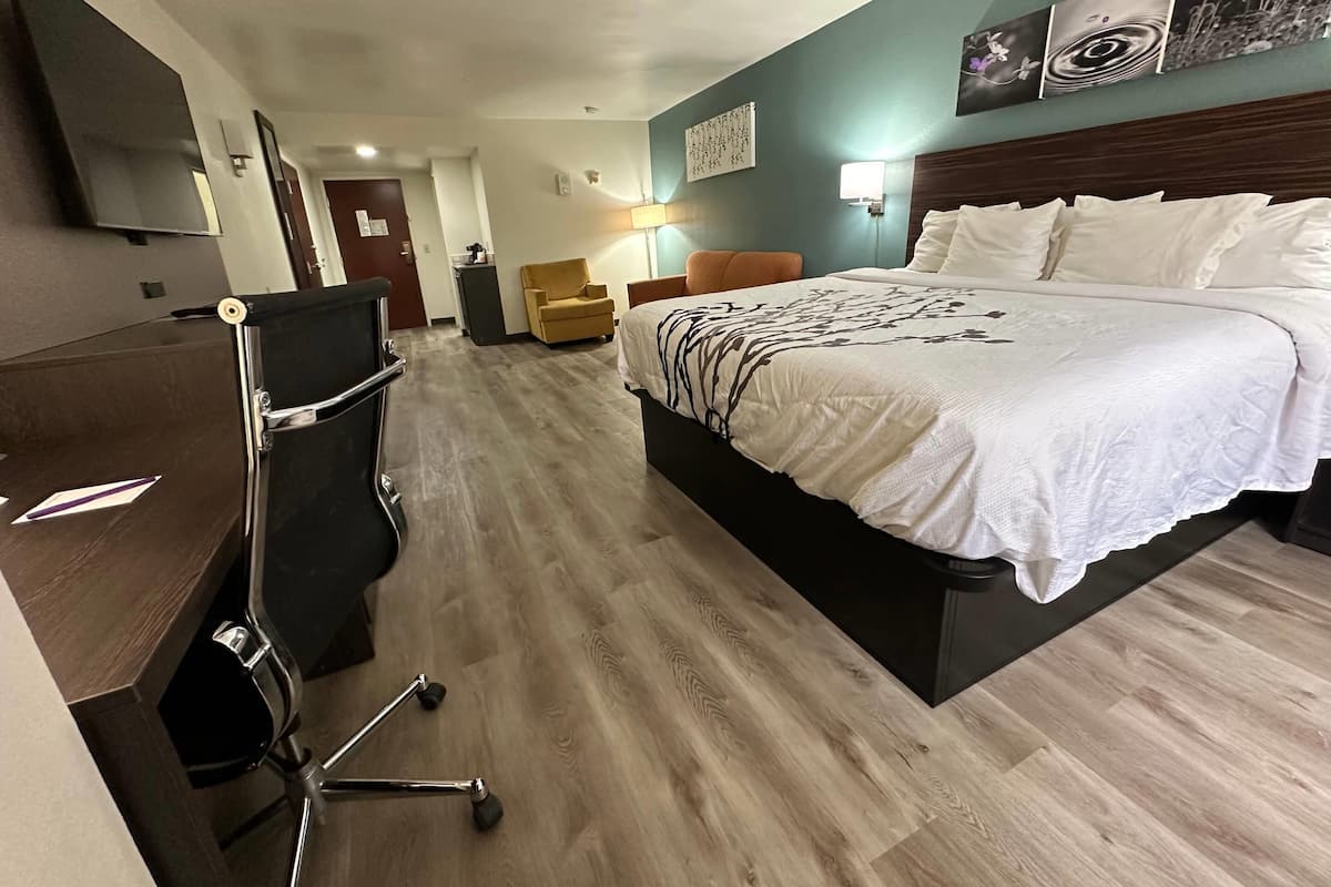 Business Suite, 1 King Bed, Non Smoking (Efficiency) | Premium bedding, desk, laptop workspace, blackout drapes