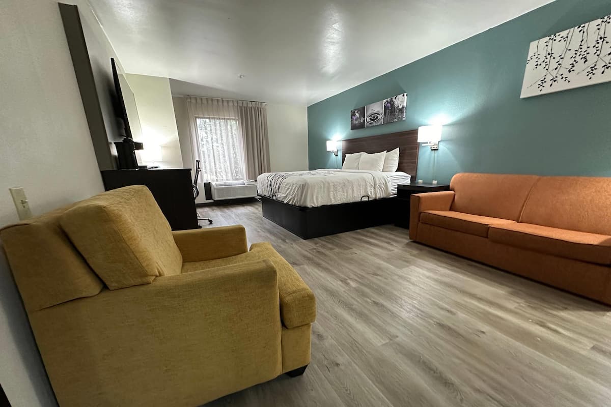 Suite, 1 King Bed, Non Smoking | Premium bedding, desk, laptop workspace, blackout drapes