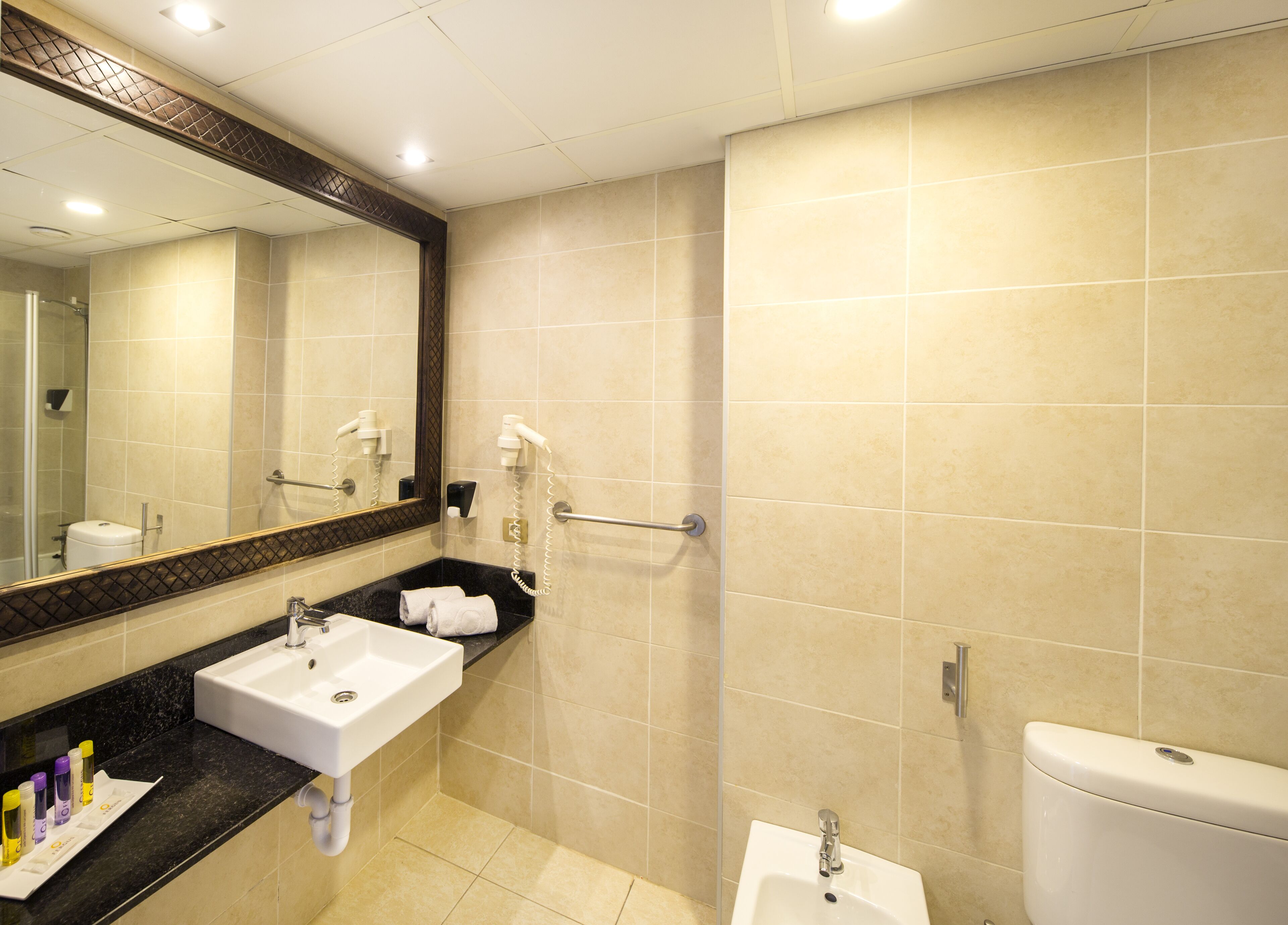 free toiletries, hair dryer, towels