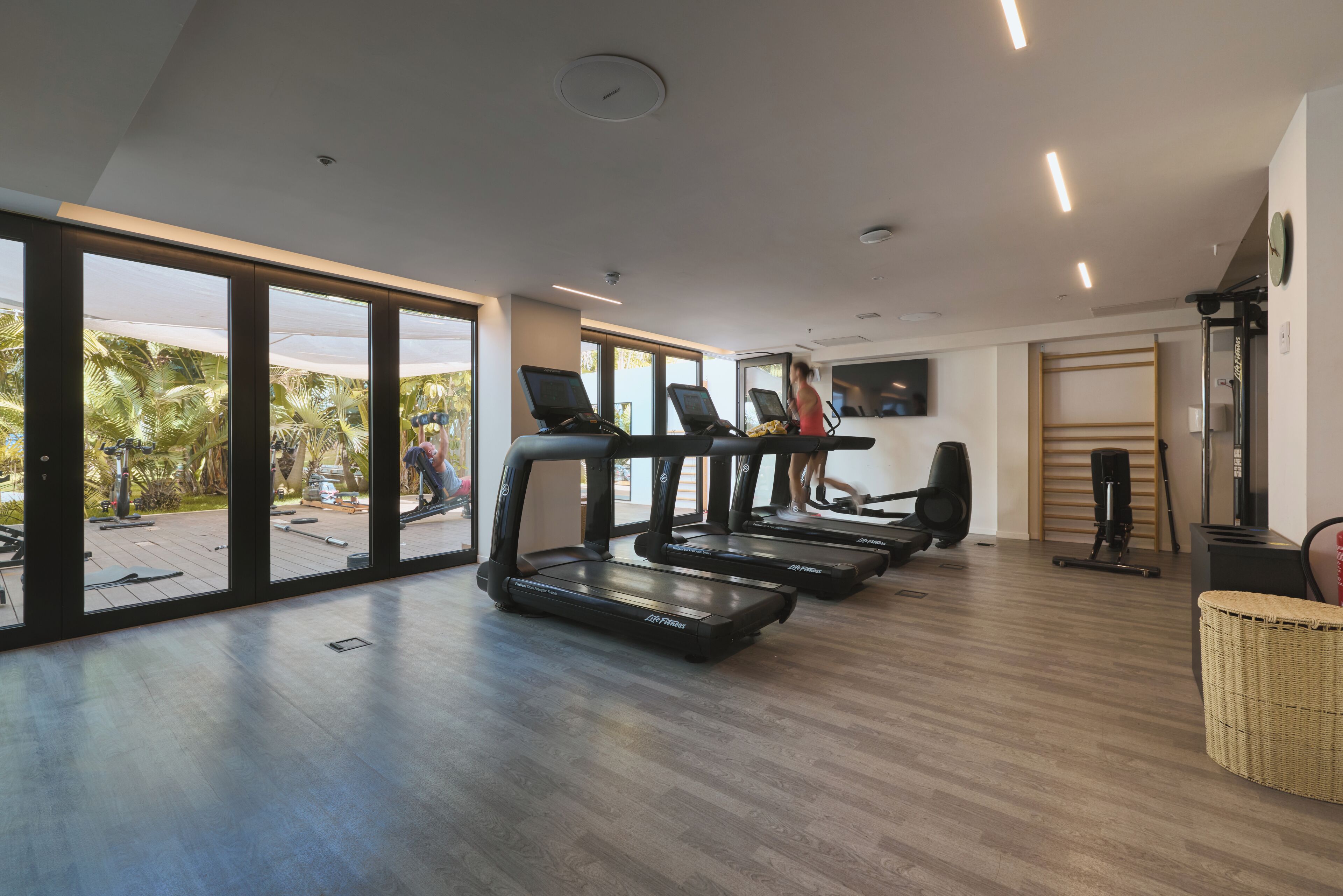 Gimnasio