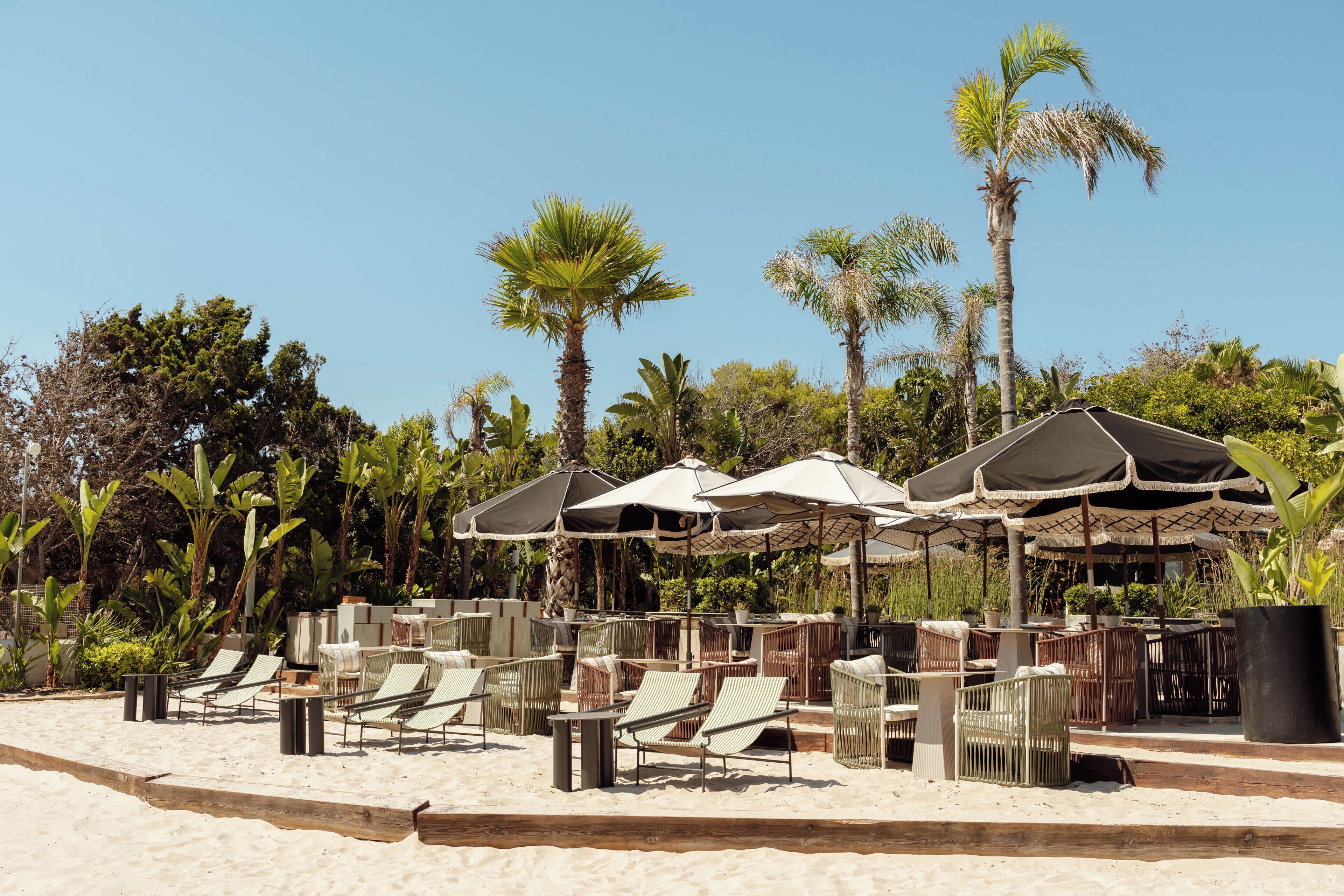 A beachside lounge with outdoor seating and umbrellas, surrounded by palm trees.