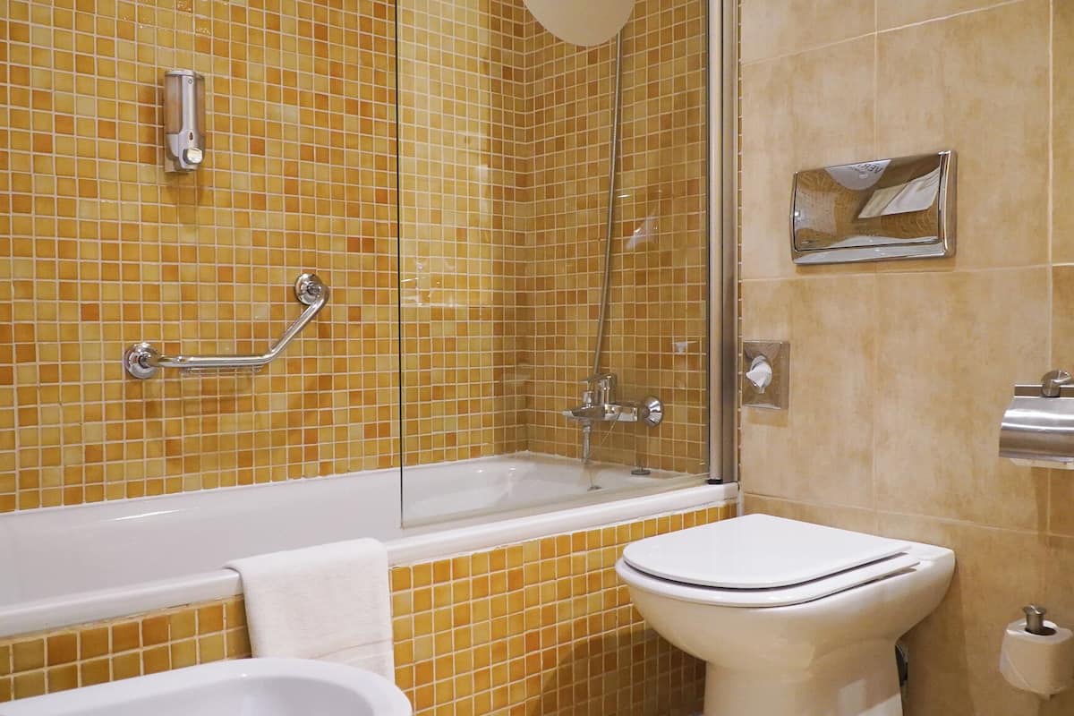free toiletries, hair dryer, bidet, towels