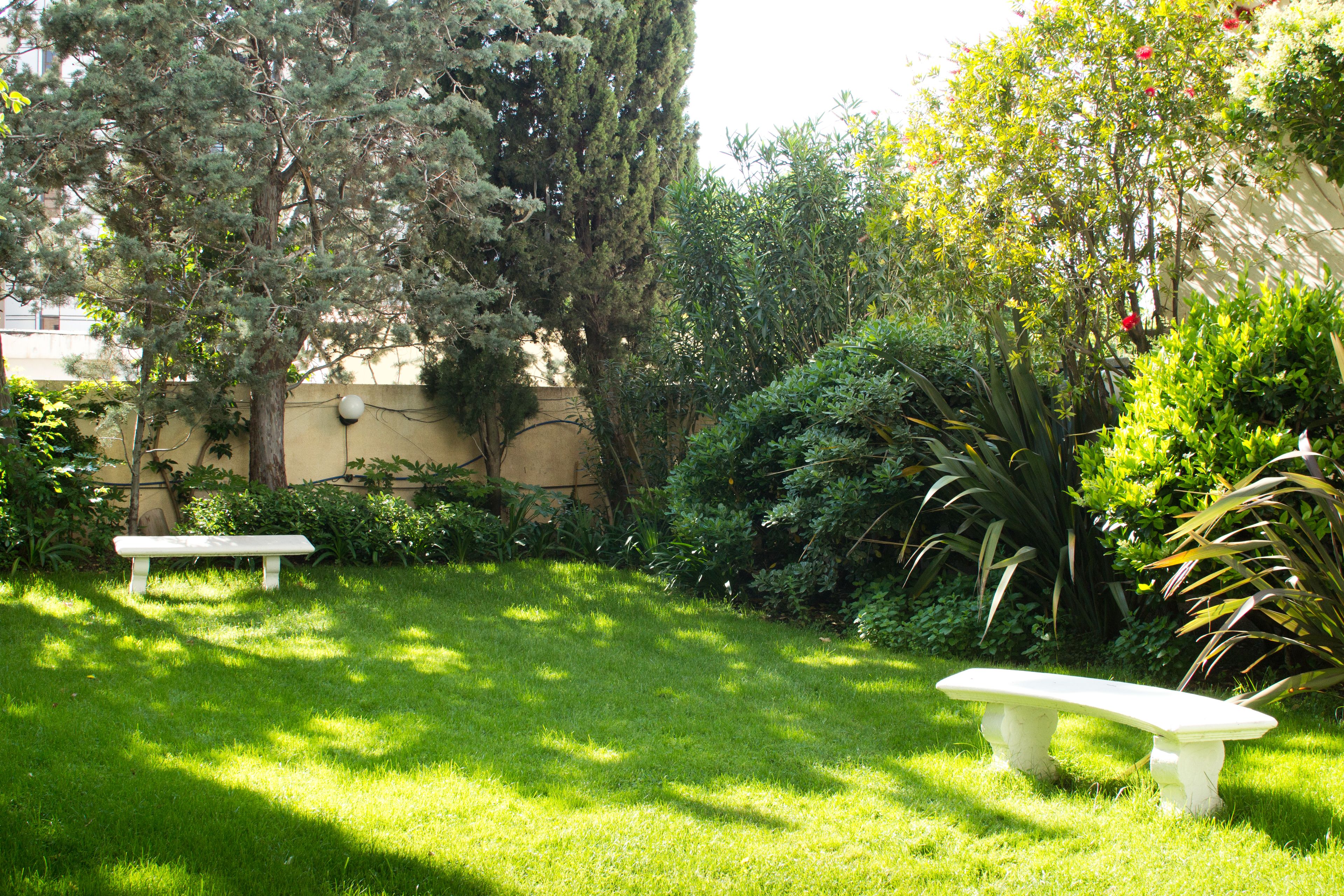 Un jardín con dos bancos blancos, césped verde exuberante y diversos arbustos y árboles.