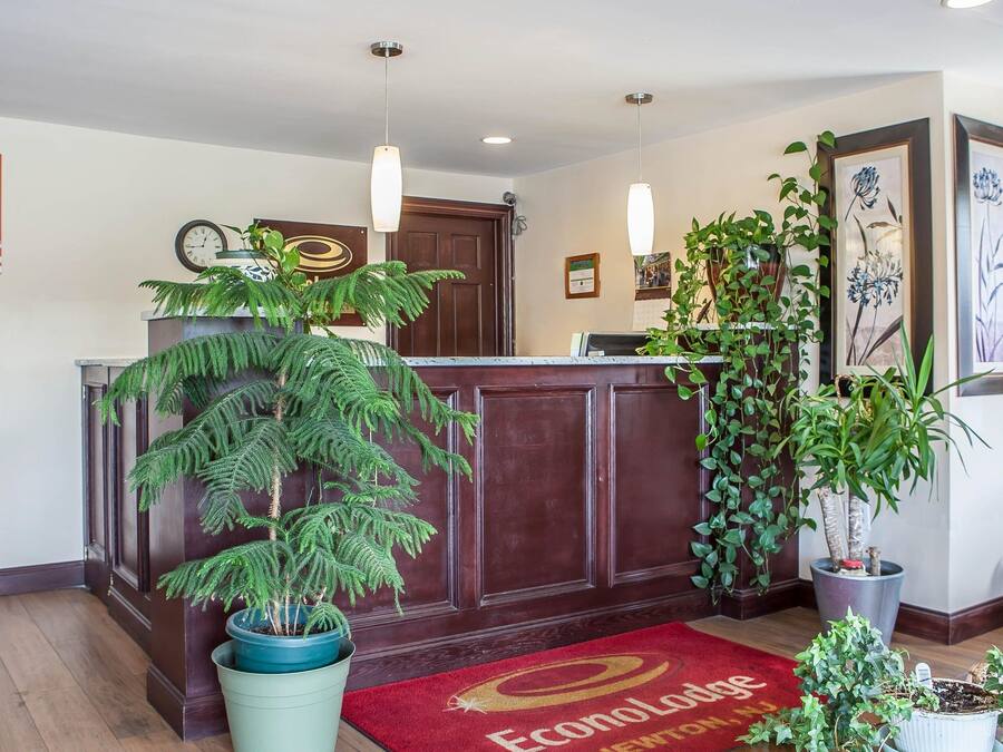 Un espace d’accueil avec un comptoir en bois, des plantes en pot, une horloge et des œuvres d’art encadrées accrochées aux murs.