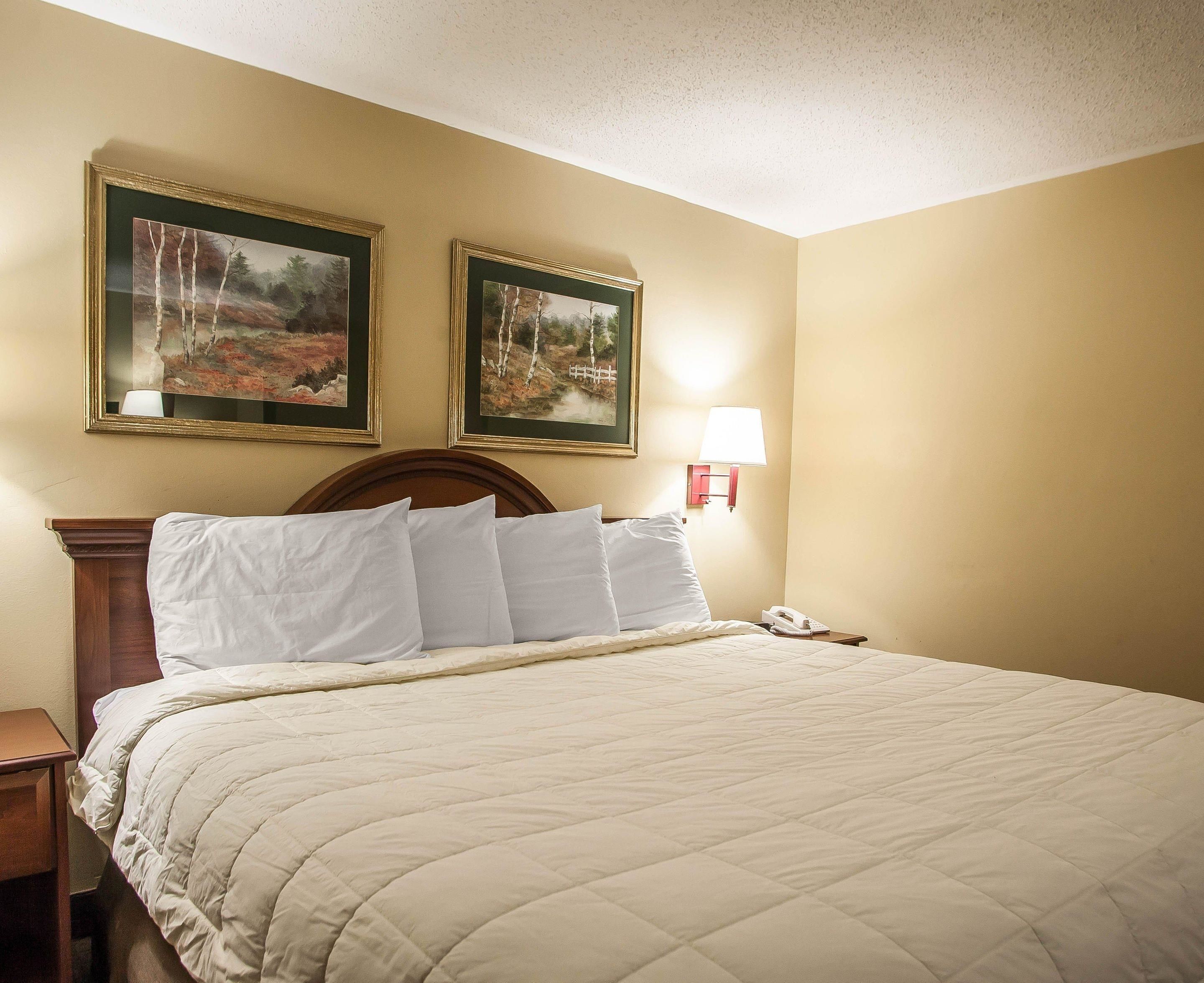 A hotel room with a bed, two framed paintings on the wall, a bedside lamp, and a phone on the nightstand.