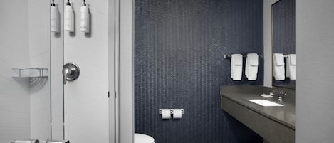 Combined shower/bathtub, free toiletries, hair dryer, towels