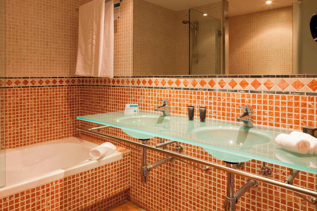 combined shower/bathtub, free toiletries, hair dryer, bidet