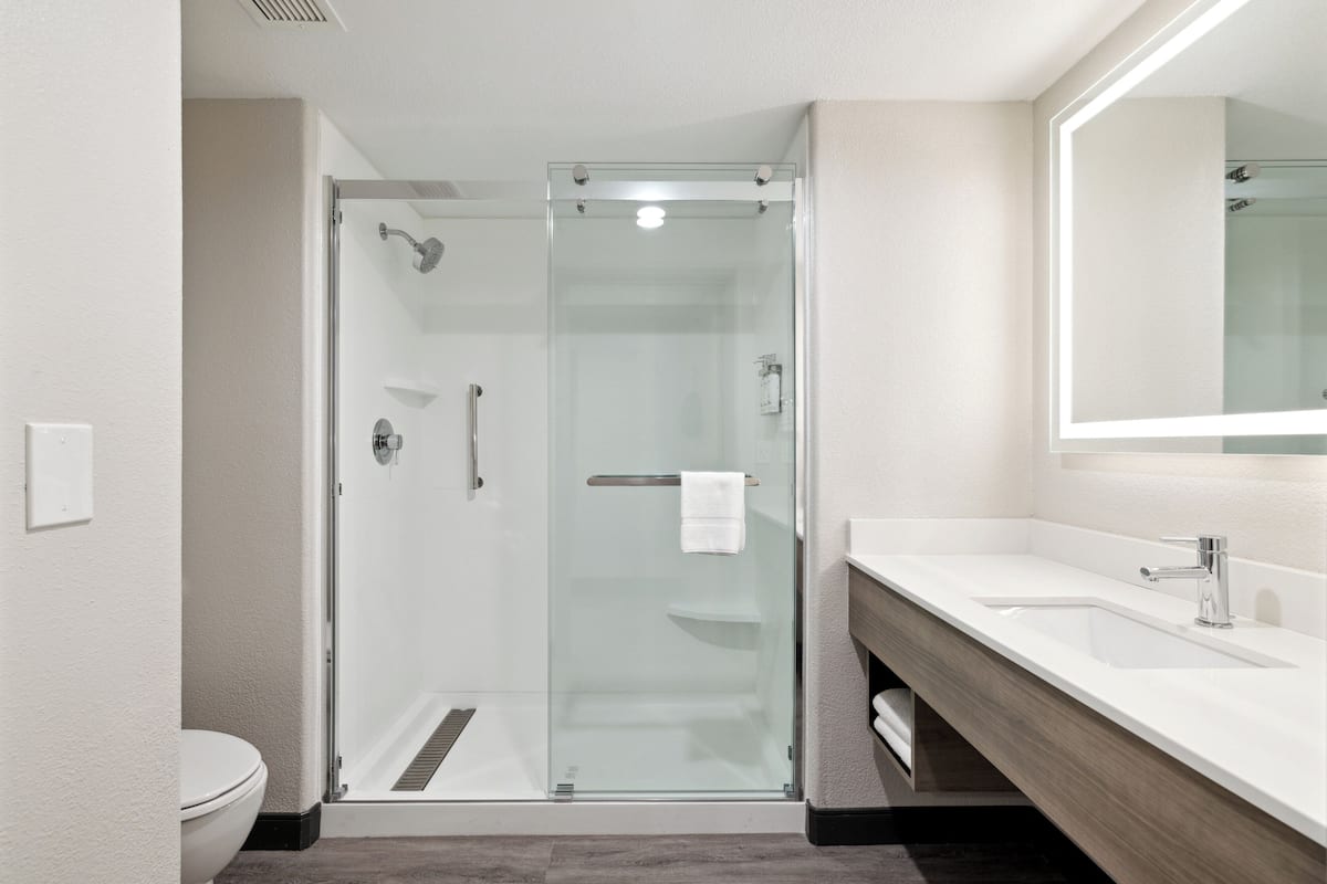 A modern bathroom with a glass-enclosed shower, a white sink, and a large mirror.