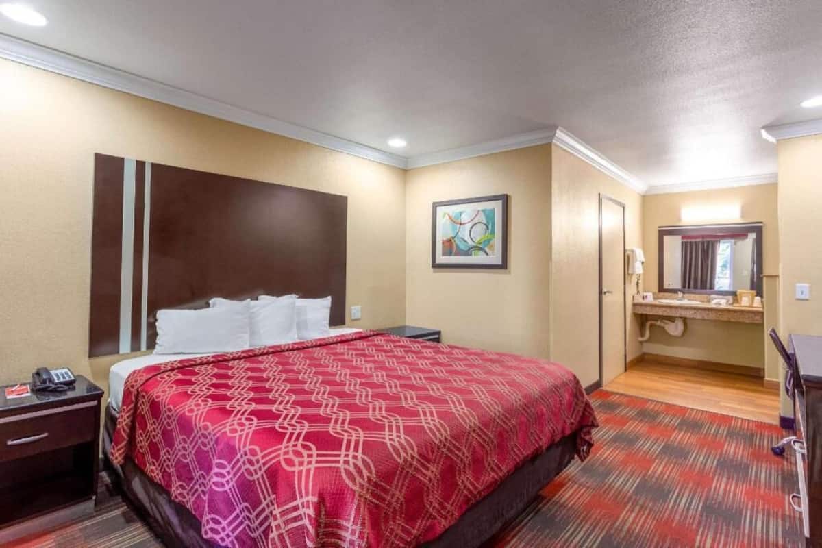Une chambre d’hôtel comprenant un lit, une table de chevet, un bureau, un miroir et une salle de bain avec un lavabo et un miroir.
