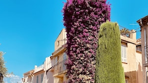A street with buildings, a stone pathway, and a tall green hedge. - Radisson Hotel Cannes Seaside (Cannes)