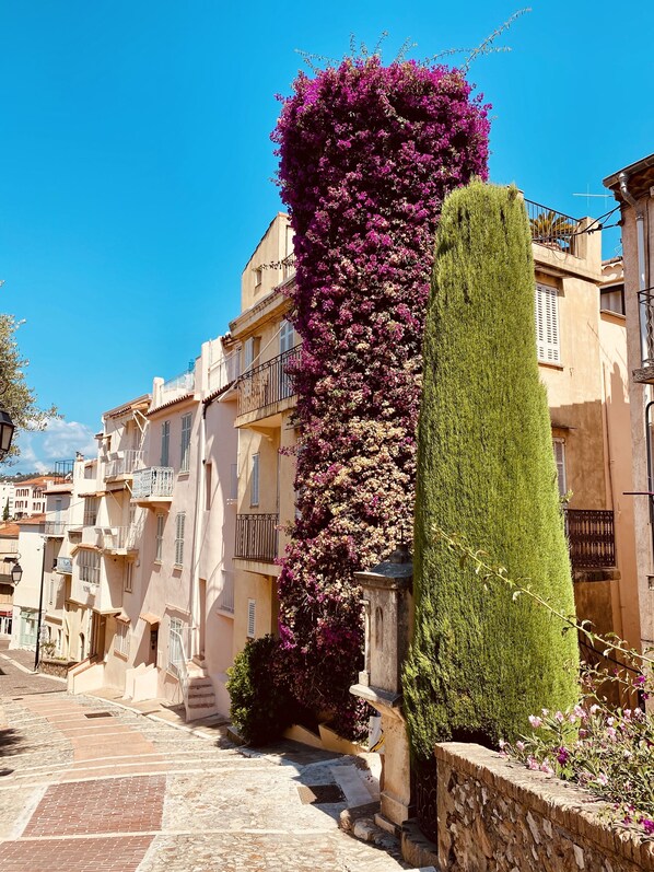 Point of interest - Radisson Hotel Cannes Seaside (Cannes)