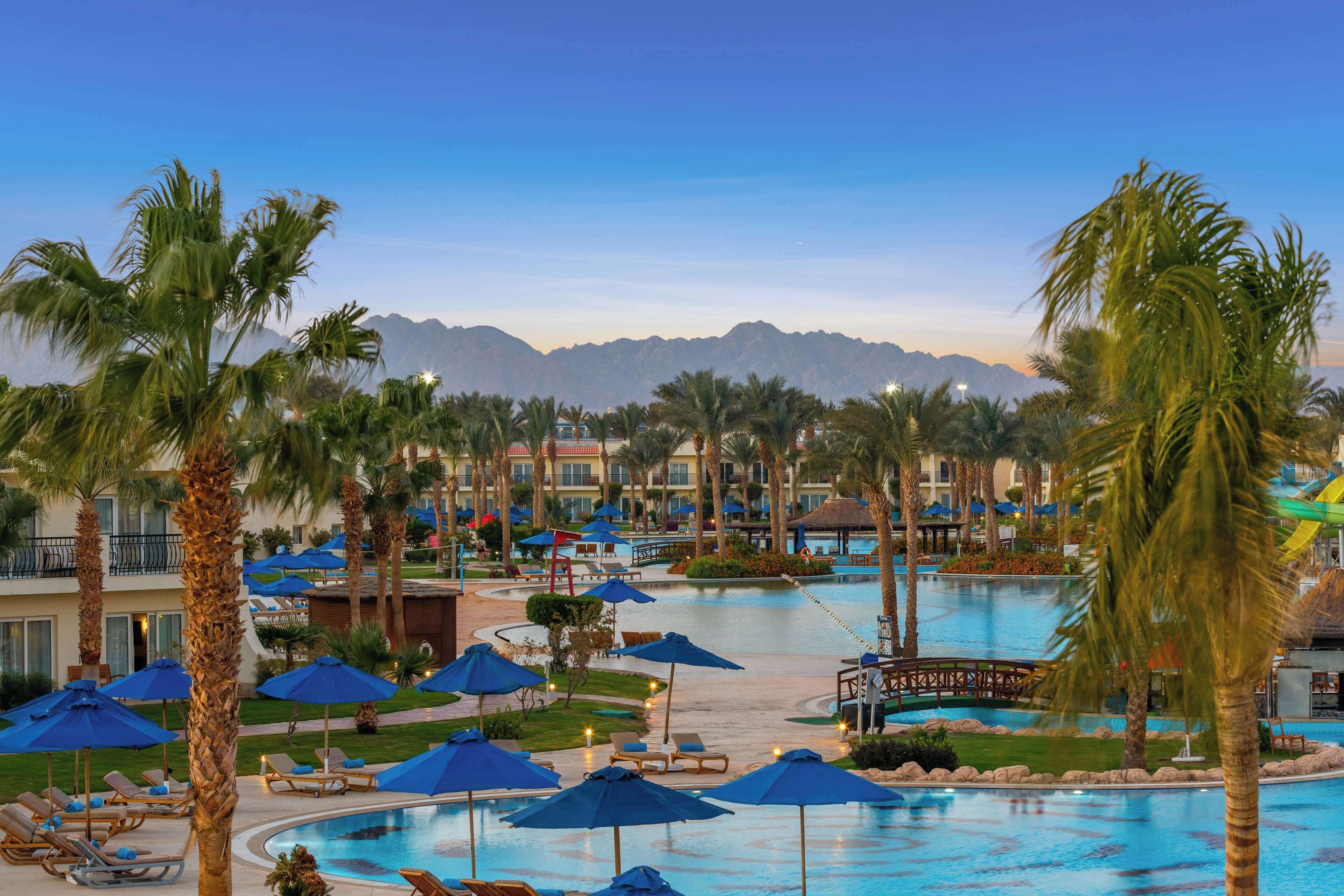 Un área de piscina en un resort con palmeras, sillas de descanso y sombrillas.