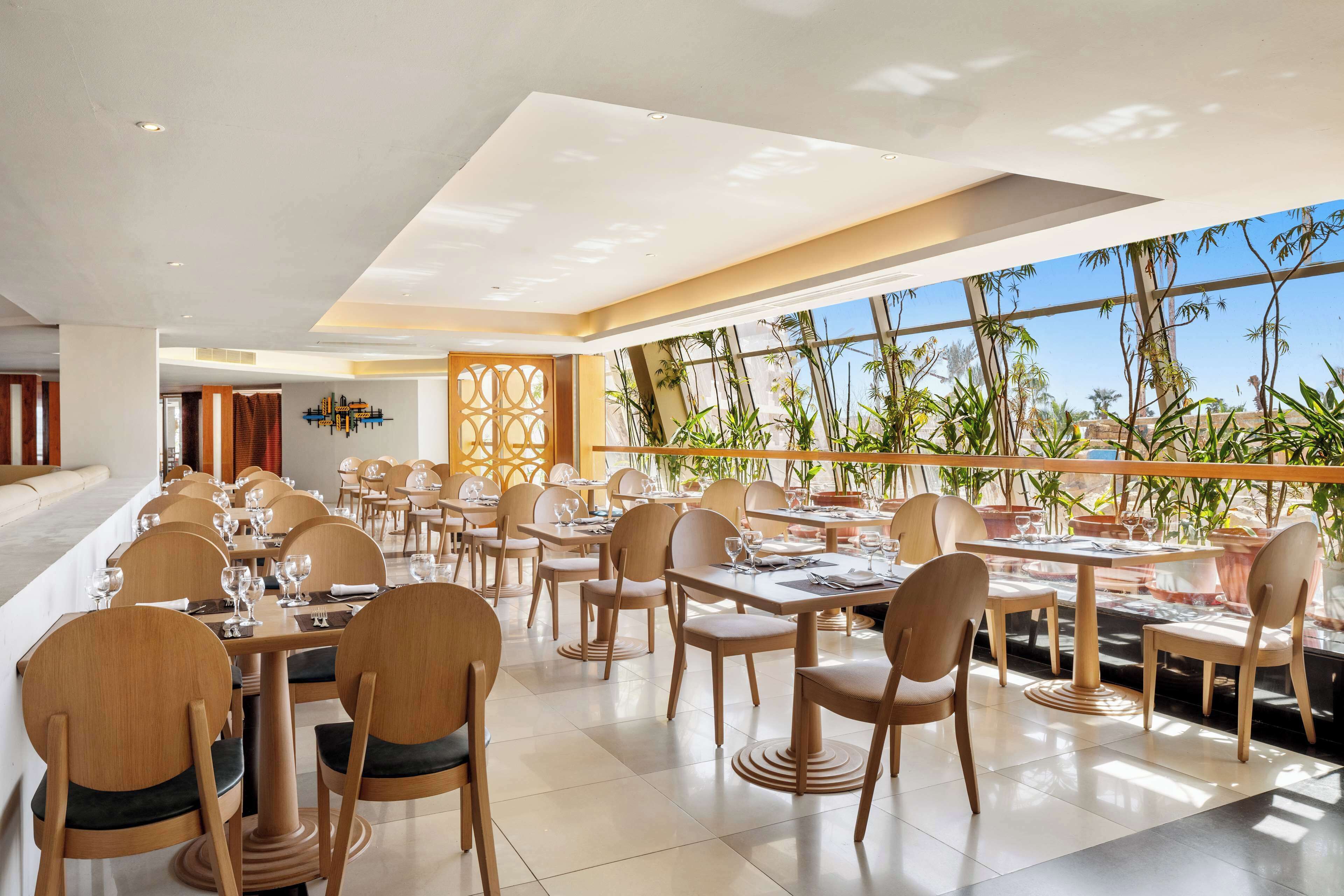 A modern restaurant with wooden chairs and tables, large windows with plants, and a high ceiling.