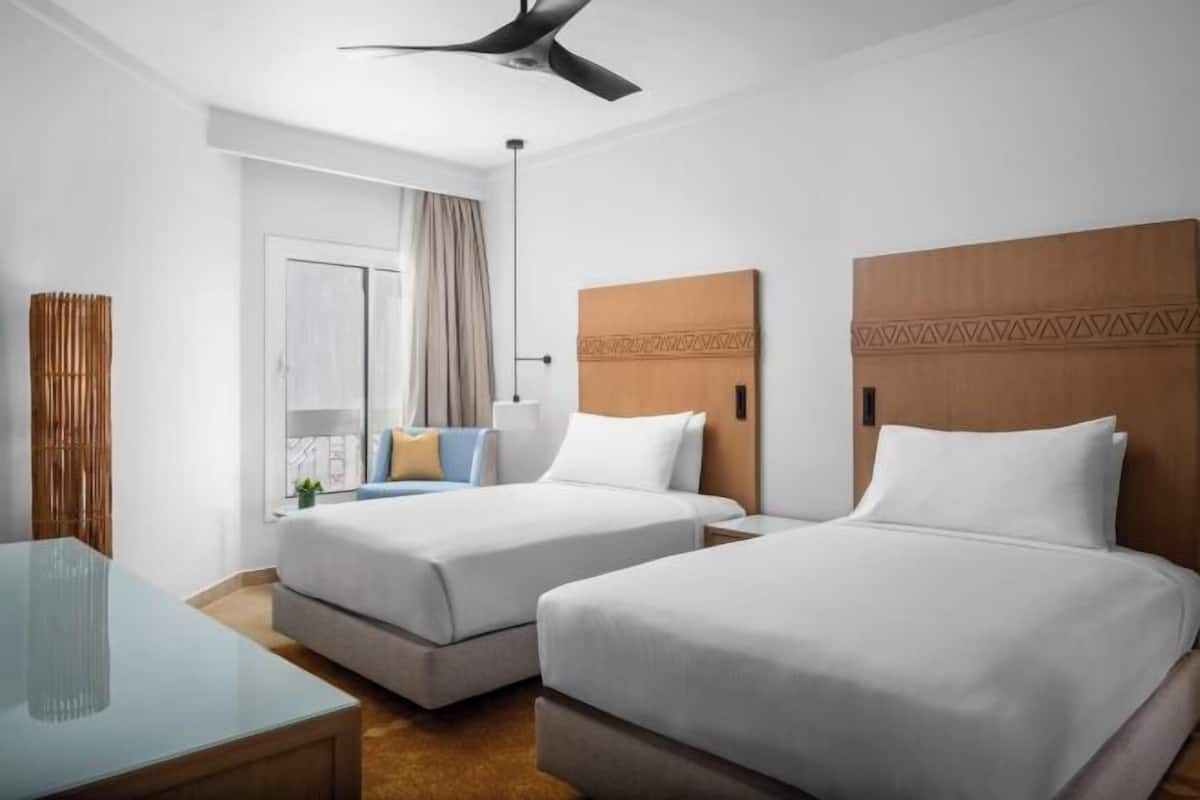 Sábanas de algodón egipcio, ropa de cama hipoalergénica y edredón