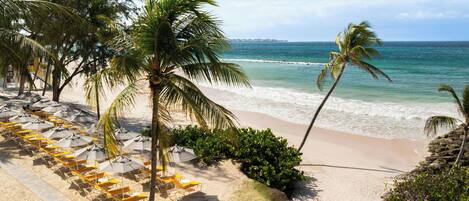 Una playa con hileras de tumbonas y palmeras, que se extiende hacia el océano.