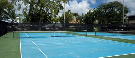 Una cancha de tenis con red, rodeada de árboles y un cielo despejado.