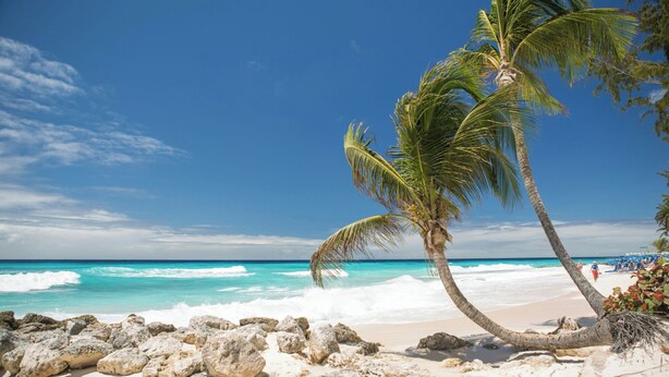 Una playa de arena blanca, agua turquesa cristalina y palmeras.