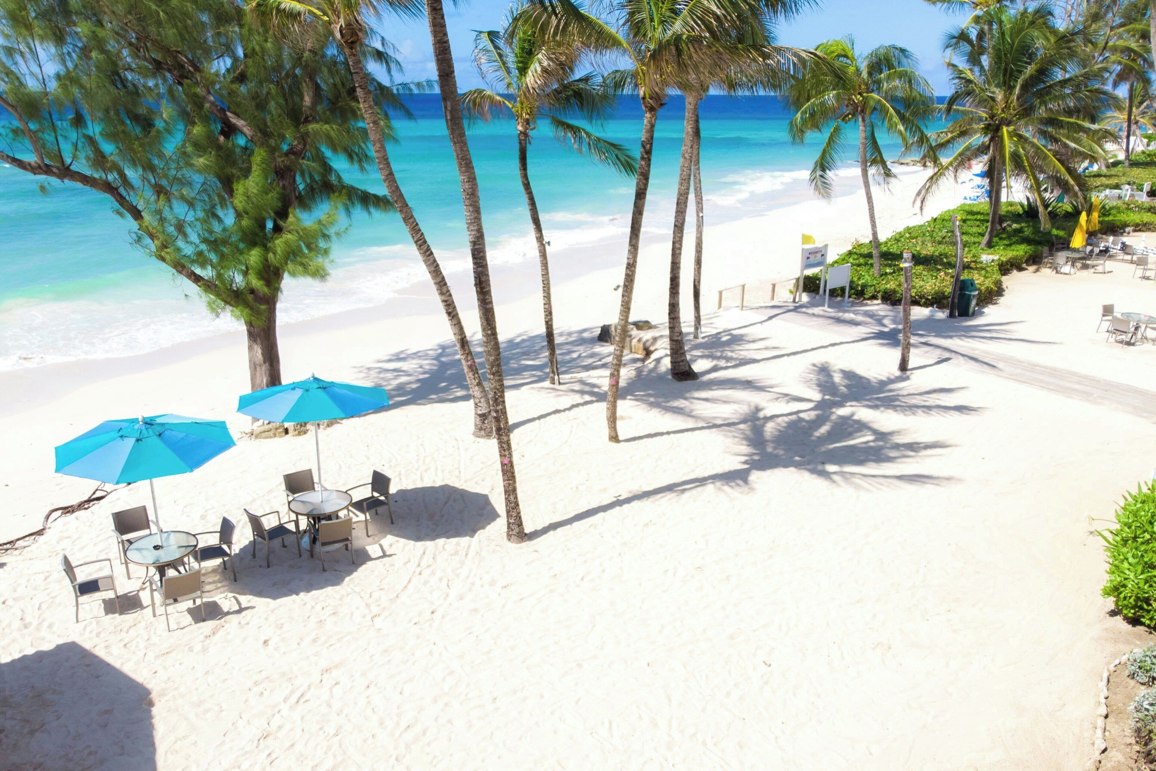 A beach with palm trees, a sandy shore, and a few tables and chairs under blue umbrellas.