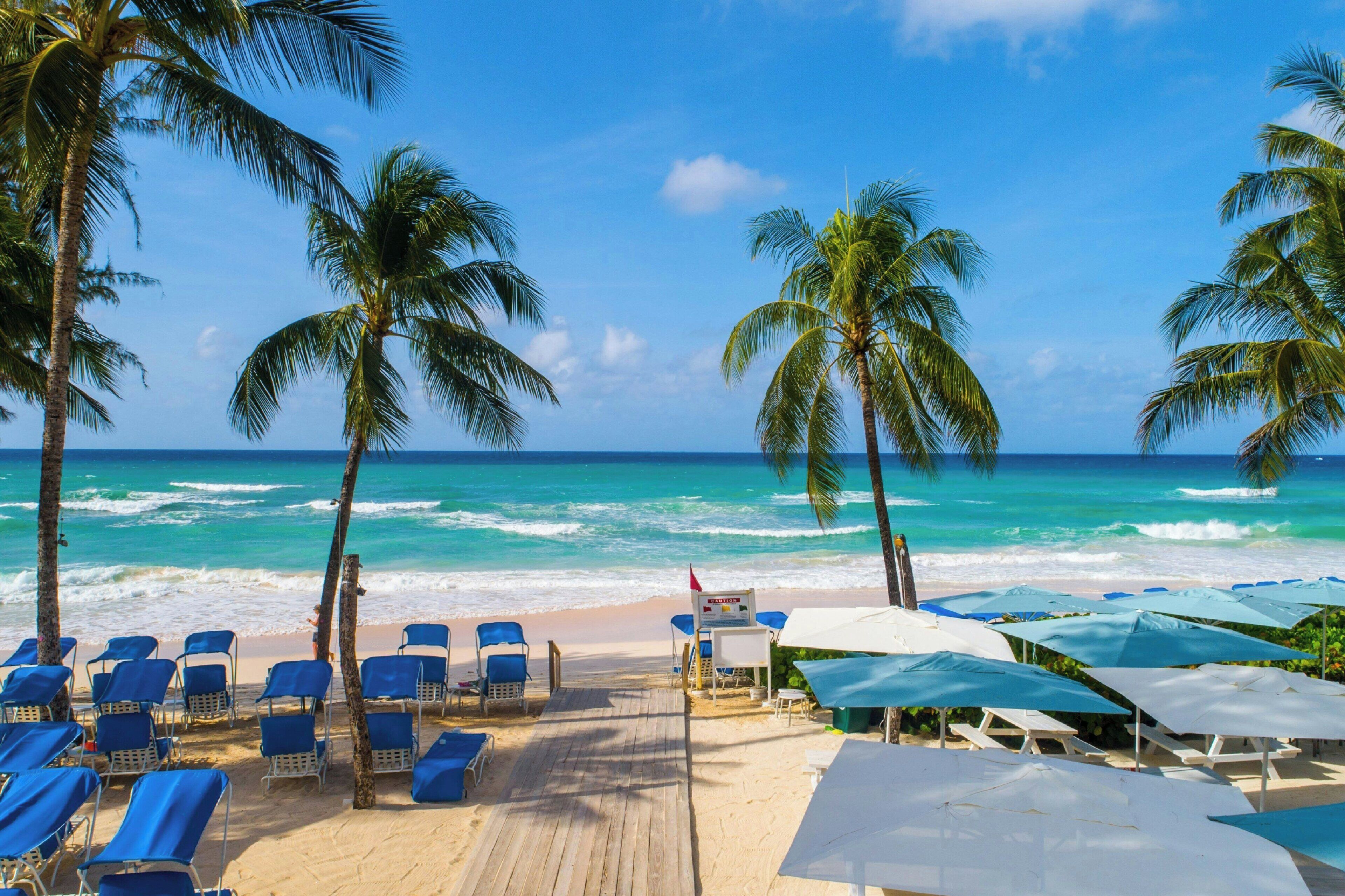 A beach with palm trees, blue lounge chairs, and umbrellas.
