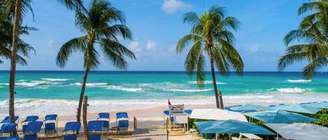 Una playa con palmeras, sillas de descanso azules y sombrillas.
