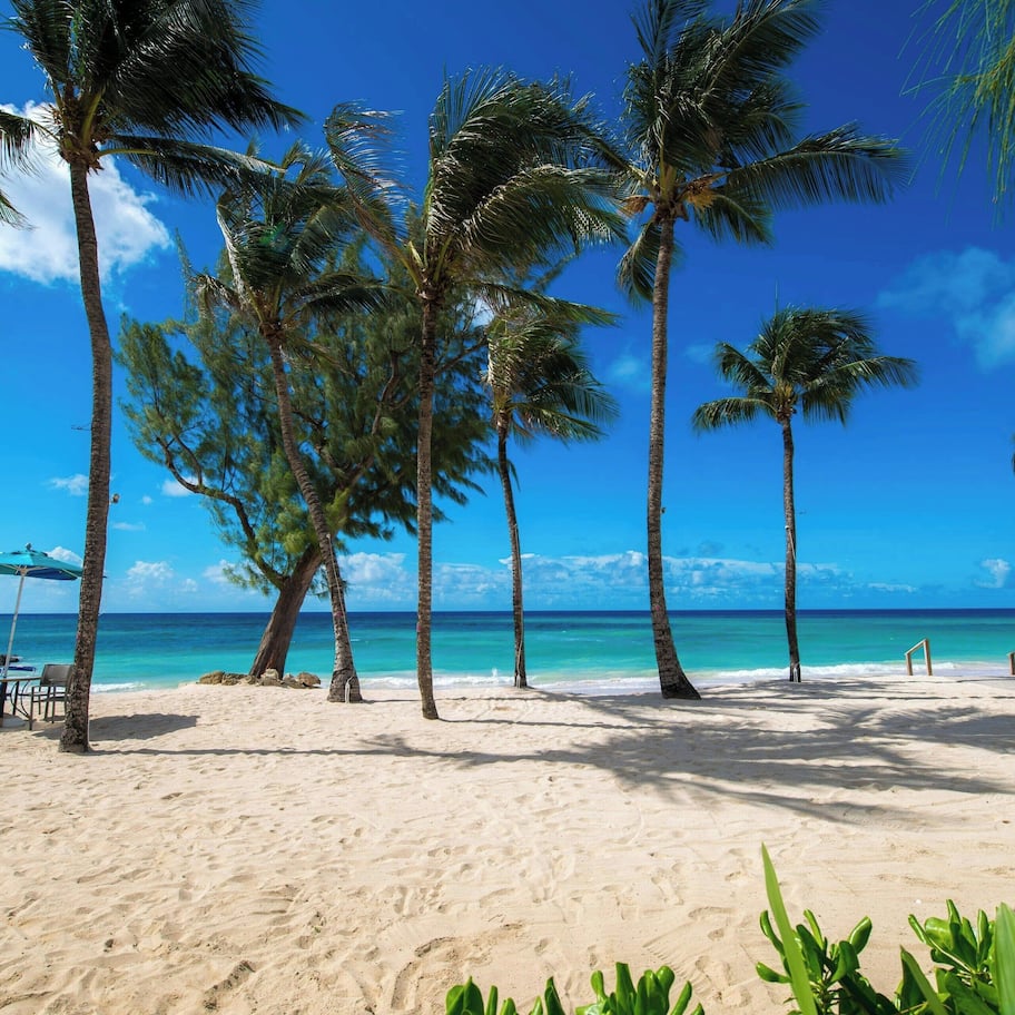 On the beach, white sand, sun loungers, beach umbrellas