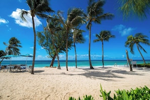 On the beach, white sand, sun-loungers, beach umbrellas