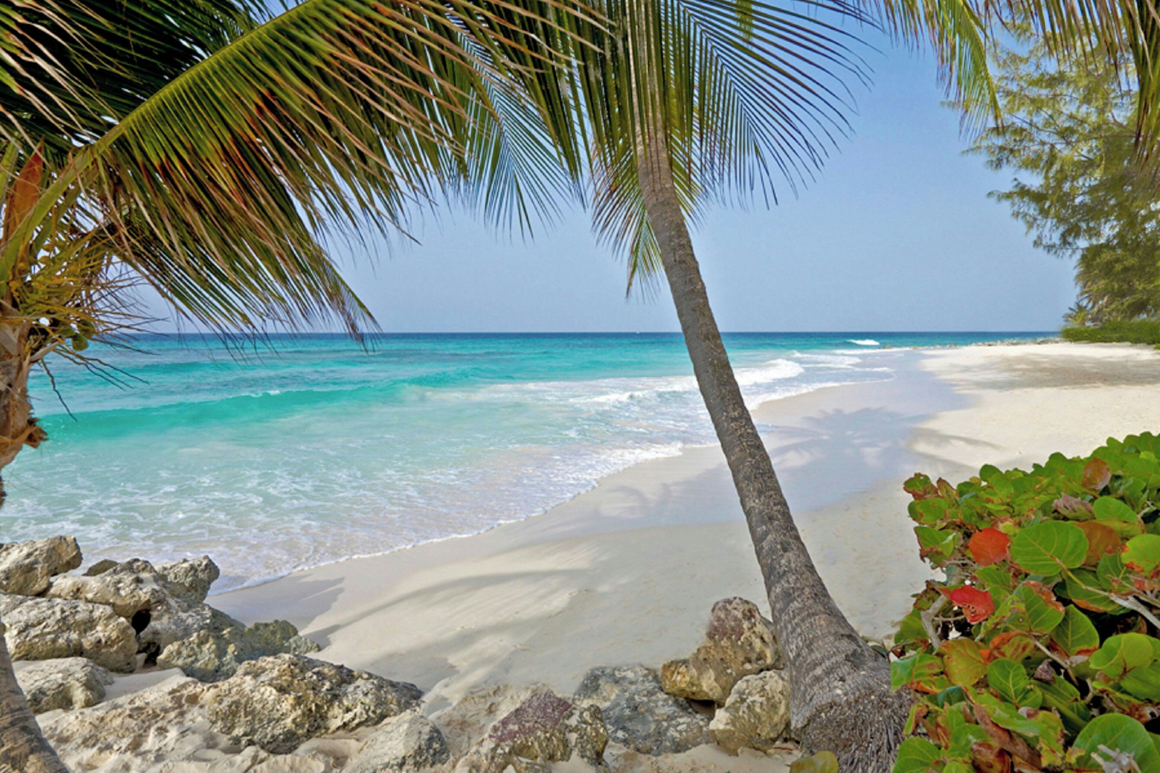 Photo - Turtle Beach, a Tribute Portfolio All Inclusive Hotel