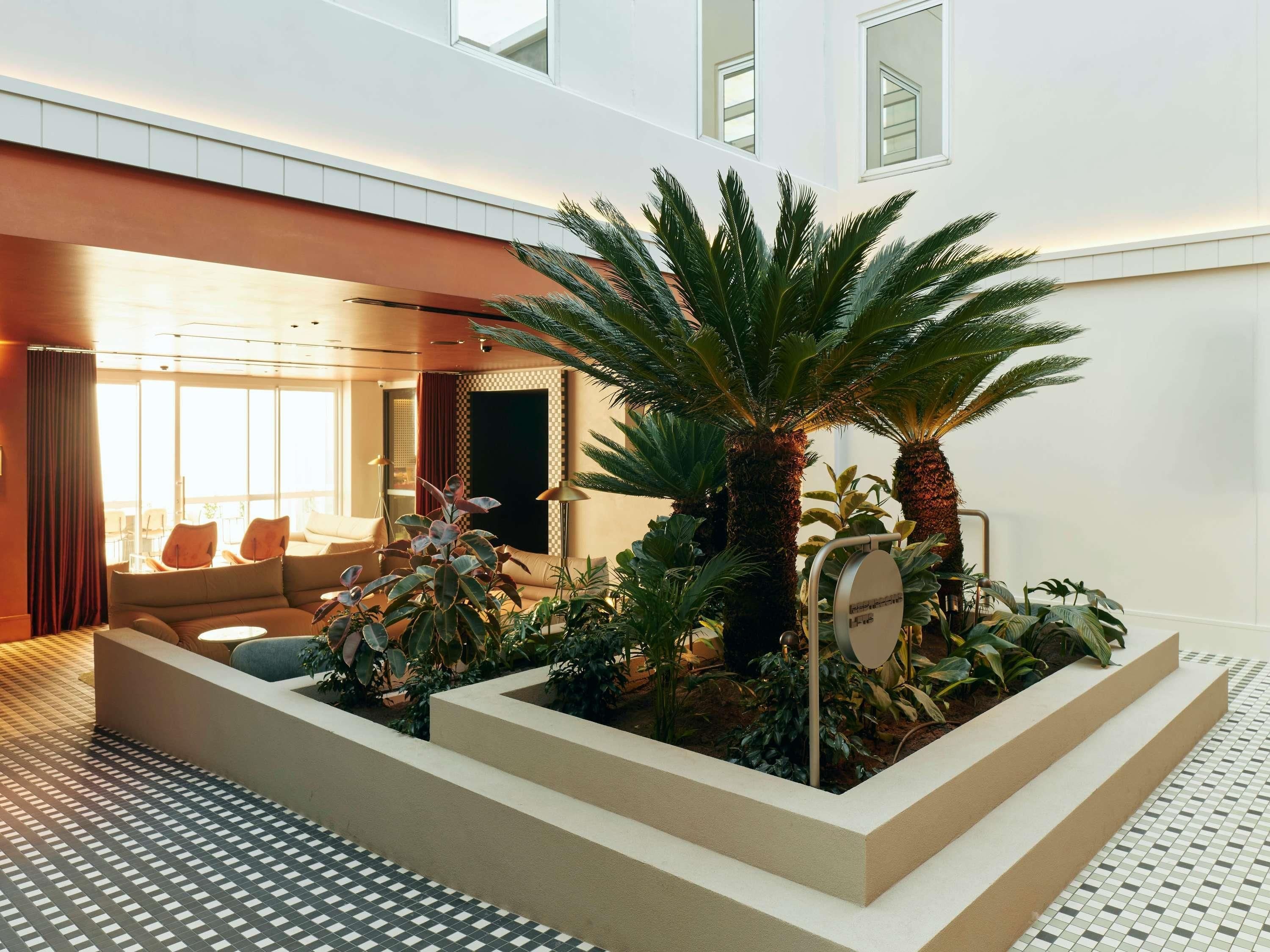 Un jardín interior moderno con una palmera, un área de estar y un mostrador de recepción.